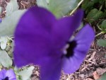 20140425_193554