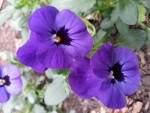 20140425_194616