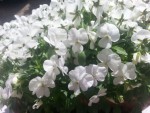 20140507_143341
